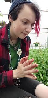 found this little guy at work, fairly calm. can anyone identify what it is? 