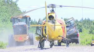 Shane Hardee Archives