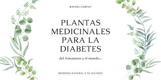 La diabetes mellitus tipo 2 se puede curar definitivamente si la. Plantas Medicinales Para La Diabetes 20 Del Amazonas
