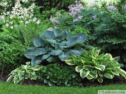 Check spelling or type a new query. 21 Ideas For Beautiful Garden Design And Yard Landscaping With Hostas