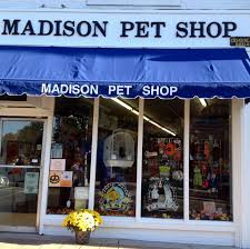 Mounds pet food warehouse has 5 local pet stores in the madison wi area. Madison Pet Shop Shop Now Pick Up In Store Today