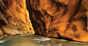 The scenery and experience gets better the further you go up the river and is the most spectacular once you reach wall street. Best 100 Miles Wall Street Zion Narrows Zion Np Ut