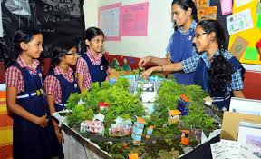 While presenting a model in an exhibition one can earn a new knowledge and also by observing the other exhibit of his class mates. School Project Models In Delhi Ncr Science Project In Delhi Schoolproject In