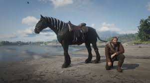 Yes, the horsehair braid can make the hem of your dress or skirt all pouffy and full. Am I The Only Weirdo Who Had His Horses Hair Braided Reddeadredemption