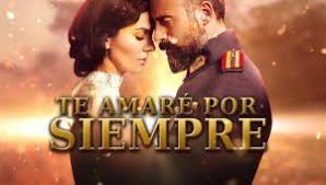 Te Amare Por Siempre Vatanim Sensin Capitulos Completos Vive Series Siempre Te Amare Te Amo Series Completas En Espanol