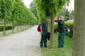 Things to do near botanischer garten kassel. 100 Jahre Botanischer Garten Kassel Rosadoras Kunstgarten