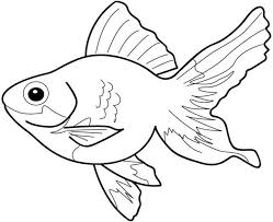 Realistic fish coloring pages #16411730. Realistic Fish Coloring Pages Online Coloring Pages
