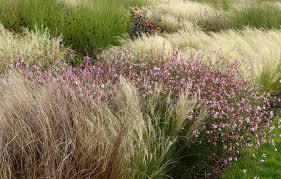 Gartenplanung Peter Janke Gartenkonzepte Garten Landschaftsdesign Naturgarten