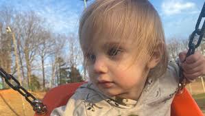 Fundraiser by Elisabeth Muller : Help Elisabeth's Family Through Grief