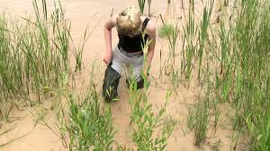 See more ideas about winyl, moda damska, kalosze. Jean Pierre Dumais On Twitter Girlsinwaders Waders Hipboots Mud Flooded Wetwednesday Wetting Wet Waderswednesday