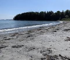 Metal detecting as a hobby. Metal Detecting In Maine