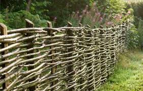 De Todo Un Poco Como Hacer Cercos Y Vallas Vivas Cerca De Jardin Cercos Decoracion De Jardin Rustica