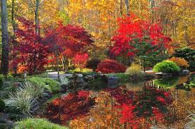 Gibbs Gardens Is A Place Of Beauty Near Atlanta Autumn Garden Japanese Garden Design Garden Japanese