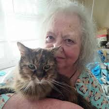 Snake plants are happy when they flower