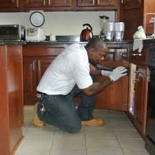We offer same day, monthly. The 10 Best Animal Removal Services In Bayonne Nj 2021