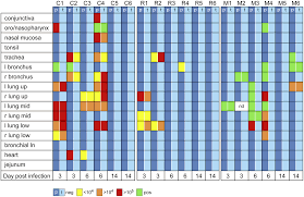Reviewing the history of pandemic influenza: Plos One Pandemic Swine Origin H1n1 Influenza Virus Replicates To Higher Levels And Induces More Fever And Acute Inflammatory Cytokines In Cynomolgus Versus Rhesus Monkeys And Can Replicate In Common Marmosets