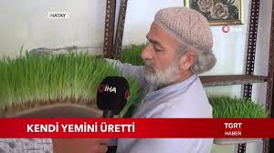 Hayvanlari Icin Yaz Kis Topraksiz Taze Yem Uretiyor Youtube