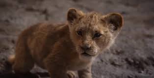 The Lion King 2019 Imdb