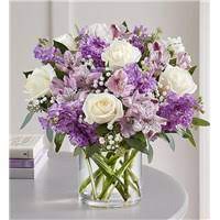 We did not find results for: Sympathy For The Home Gifts Flowers Phoenix Az Same Day Same Day Flower Delivery Delivery