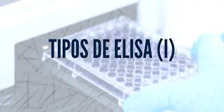 You know her, you love her: Tipos De Elisa Conoces Las Diferencias Abyntek Biopharma