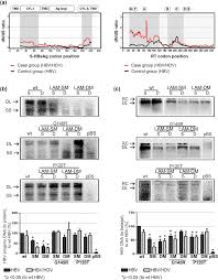 Hdv is considered to be a satellite (a type of subviral agent). Hepatitis Delta Virus Facilitates The Selection Of Hepatitis B Virus Mutants In Vivo And Functionally Impacts On Their Replicative Capacity In Vitro Clinical Microbiology And Infection