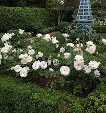 Laurie Durden Lauriehdurden Instagram Photos And Videos