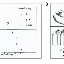 Leave a piece of the meat in there with it to keep it alive. Pdf Penicillin S Discovery And Antibiotic Resistance Lessons For The Future