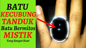 Corallium rubrum ata red coral merupakan jenis cincin batu yang terbuat dari sejumlah terumbu karang di lautan. Batu Kecubung Tanduk Bermitos Mistik Yang Kuat Youtube