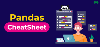 Image result for Pandas cheatsheet