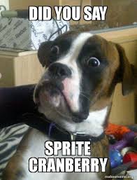 Did You Say Sprite Cranberry Skeptical Dog Make A Meme Meme compilation if you own any content in this compilation and would like to remove it and/or take. say sprite cranberry skeptical dog