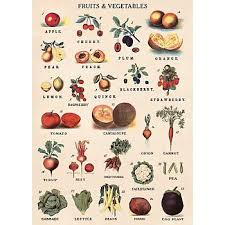 Cavallini Fruits Vegetables Wrapping Paper Fruits Vegetables Kitchen Art Fruit
