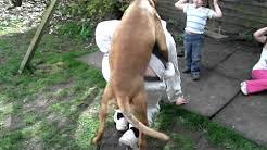 Talitha luke yardely hot photos. A Youtube