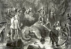 The Prince of Wales in India, 1875-76 ...