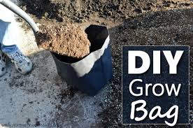 We did not find results for: Diy Garden Grow Bags