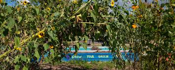 Image result for Green 1990 Norfolk VA City of