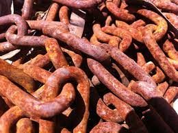 Macii de magda isanos ardeau ca nişte facle vii, în vârf de firave tulpini. Macii De Magda Isanos Poezii Si Versuri