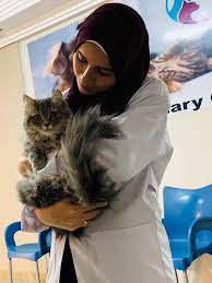 We treat all pets as if they're our own family. All Pets Team You Are In Safe Hands All Pets Veterinary Clinic Facebook