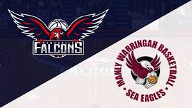 NBL1 EAST Newcastle Falcons Vs Manly Sea Eagles