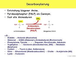 Biogene amine — biogene amine, durch decarboxylierung und zum teil nachfolgende alkylierungsreaktionen aus aminosäuren entstandene primäre amine. Stoffwechsel Von Aminogruppen Katja Arndt 30 10 2006