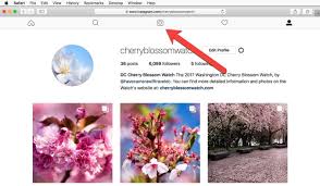 Instagram extension firefox / instagram extension firefox / cookie disabled or private mode in chrome or firefox extension background request stack overflow. How To Post To Instagram With A Web Browser By User Agent Spoofing June 2021
