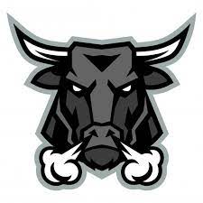 Bull Head Sport Bull Art Art Logo Bull Logo