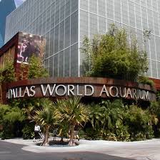 Dallas World Aquarium Definitely Must Visit Dallas World Aquarium Moving To Dallas Dallas