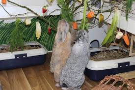 Wenn sich diese tiere an so dies ist ein recht logischer zugang zu unserem gehirn oder unserem verstand. Wohnungshaltung