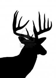 Black And White Pictures Of Whitetail Deer Whitetail Deer Head Silhouette Isolated Deer Head Silhouette Deer Silhouette Silhouette