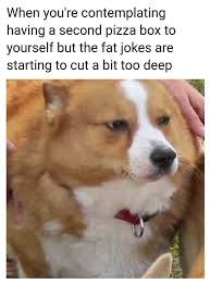 Discover and share the best gifs on tenor. Fat Doggo Steemit