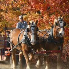 Maybe you would like to learn more about one of these? Wells Orchard Wyoming Kentwood Now