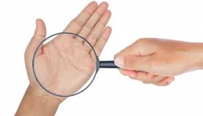 Palmistry: हथेली पर बना एक निशान बदल देता है जिंदगी, क्‍या आपके हाथ में है  ये शुभ चिह्न | Palmistry if you have Fish Sign in hand you will be very  famous