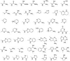 8161044 amino acid chart us watchtup