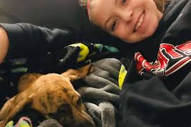 Fundraiser for Michael Rock by Kate Favata : Help bring The Rock's puppy  home!