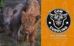 Fall Cow Cuddle Sessions 2026